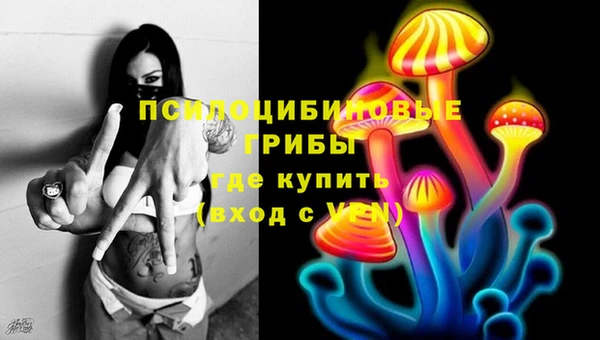 ГАЛЛЮЦИНОГЕННЫЕ ГРИБЫ Нижний Тагил