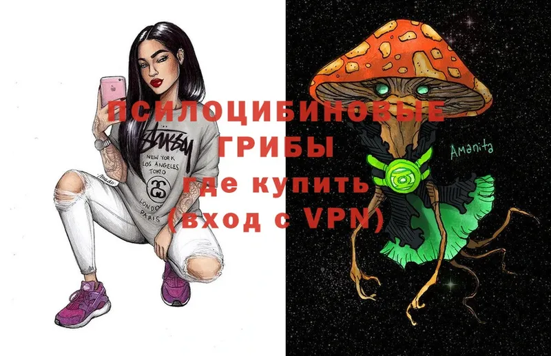 Галлюциногенные грибы Cubensis  Пенза 